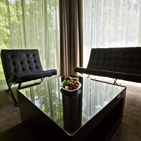 酒店 Platinum Palace Boutique & 5*